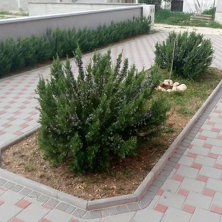 Apartmán Vladimir *