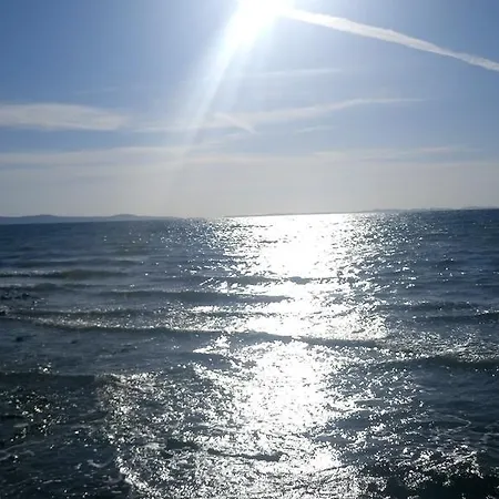 Vladimir * Privlaka (Zadar)